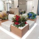 이태원정형외과의원 이미지