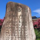 산하유