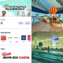 인천공항 신세계 면세점 할인 쇼핑리스트 트립포인트 이용 후기