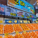 인태 | 제주 올래시장 인태농수산물 귤10kg 두 박스 구매 내돈내산 후기