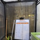 사태 | 행당 안성재셰프맛집 만두전빵 아롱사태전골 후기