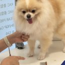 멍클스튜디오 이미지