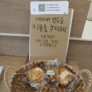 석촌호수 디저트 맛집 라라브레드 송리단길 샌드위치 메뉴 가격 상세 후기