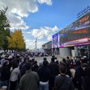 은행나무길(문화재단앞) 이미지