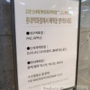 롯데대구토리버치 - 1794 | 롯데대구토리버치