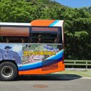 자인뷰티 | 경산시티투어버스! 힐링나들이투어 코스 총정리 🚍