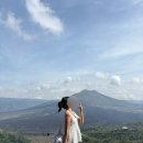 웅기농장 이미지