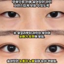 인아웃 이미지