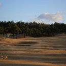 늘푸른 골프 | 제주도 골프장 예약 단체골프 인기좋은 제주 캐슬렉스cc 부킹 후기