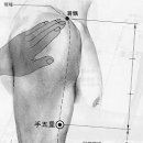 양기1 리 네이버블로그