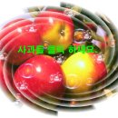 인풀 이미지