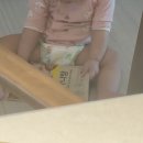 배셰프