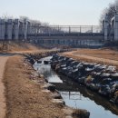 오정대공원 이미지