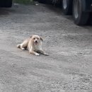 학익체육관 이미지