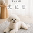 유한회사 심플마인드
