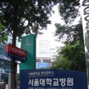 서울대-연건-치의학대학원
