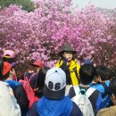 원미초등학교 이미지