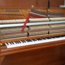 일동상회 이미지