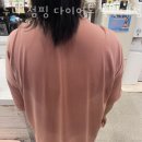 루나점핑다이어트 | 도안동헬스장 서구 대전 헬스 PT pt 피티 루나 점핑 다이어트 목원대점 가격 이벤트 후기
