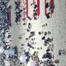 무럭이농장 이미지