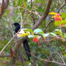 김해봉황동유적관광안내소 이미지