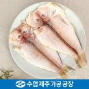 수협제주가공공장