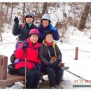 무봉식품 Daum카페