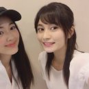 하미아미 이미지