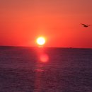 태양을향하여 이미지