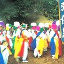 완도 장좌리 당제 및 당굿 이미지