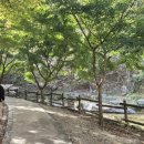 해맑은천상 이미지