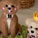 몽마르쉐 이미지