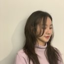 벌스헤어 이미지
