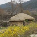 나의살던고향은 이미지