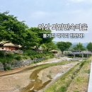 시민건재약업사 | 충남 아산 가볼만한 곳 외암민속마을 뭐하지? 카페 거북선빵 코스 정리