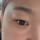 추천 위드렌즈 뉴트럴무드 원데이 렌즈 브라운 와 그레이 후기 고고안경위드렌즈인천논현점 방문 후기까지