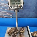 대복수산직판장 이미지