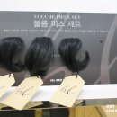 하이모레이디