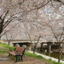 태암교 앞 이미지