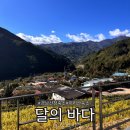 달의바다 | 경남 산청 지리산 감성 독채 숙소 달의 바다 내돈내산 후기
