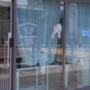 부산애견미용 이미지