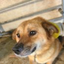 묵동-055 이미지