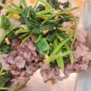 케이티(KT)빌딩 구내식당 | 목포KT빌딩구내식당 1인 6천원 식사와 벚꽃산책 그리고 목포시 옥암동 느낀점 이야기