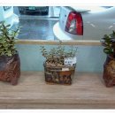 명가낙지마당 이미지