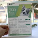 쏘밍컴퍼니 | 펫노우 강아지 관절영양제 꾸준히 섭취할 수 있는 아스로펫