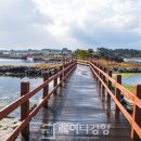 오조 Daum카페