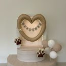 비전동 소로 3-49 | 댕스팟 애견운동장 (위치, 요금, 특징) 안성 스타필드 후 필수 코스! 넓은 실외 인조잔디 예쁜 애카 후기