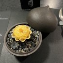 CU중구약수점 | [서울역 가성비 파인다이닝] 콘피에르 런치코스 후기