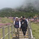 통신천국 Daum카페
