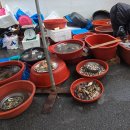 노화읍5일시장 이미지